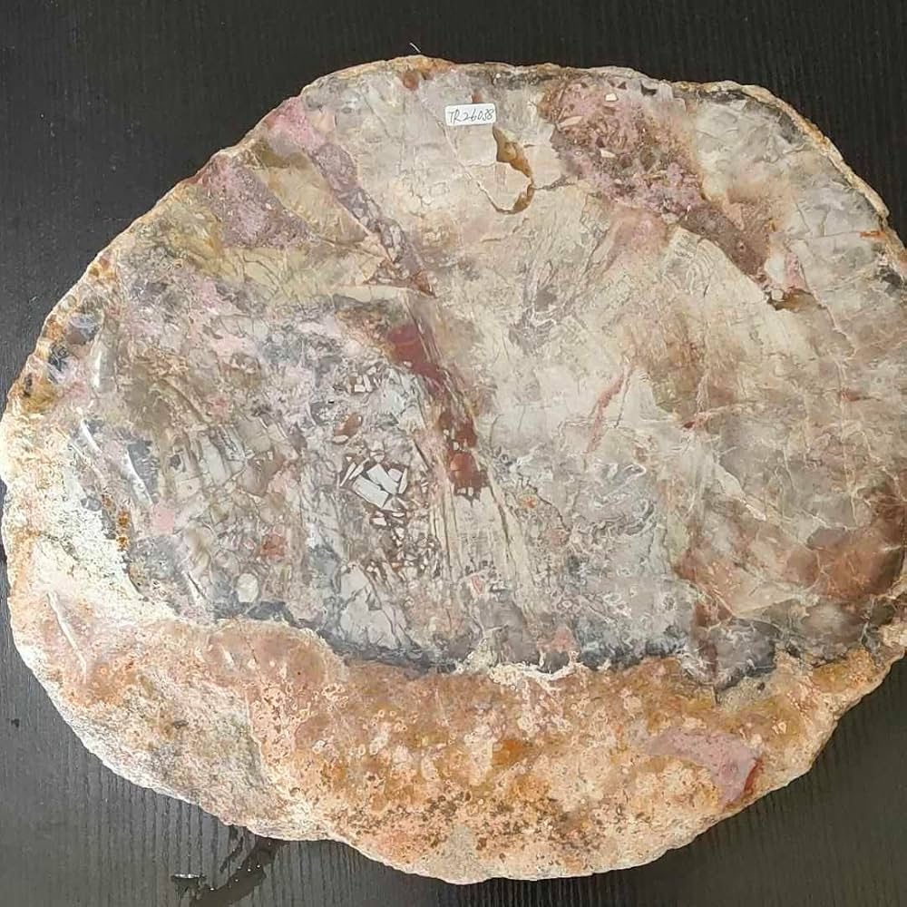 アリゾナ州で発掘された超大型珪化木の化石重量なんと21.3kg Amazon.co.jp: アリゾナ州で発掘された超大型珪化木の化石重量